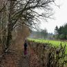 images/gallerij/jaar_2019/etappe_019/wandeling_019_05.jpg
